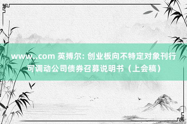 www..com 英搏尔: 创业板向不特定对象刊行可调动公司债券召募说明书(上会稿)