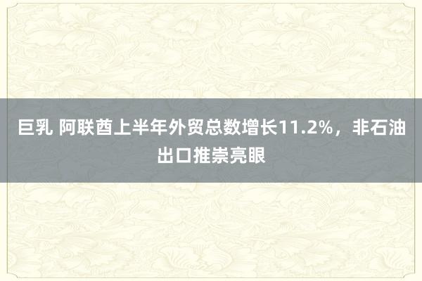 巨乳 阿联酋上半年外贸总数增长11.2%，非石油出口推崇亮眼