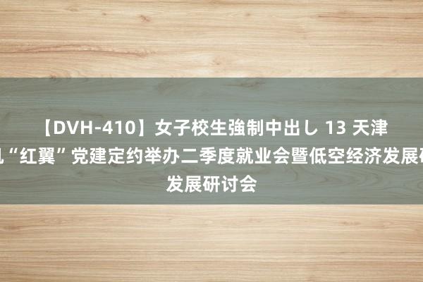 【DVH-410】女子校生強制中出し 13 天津直升机“红翼”党建定约举办二季度就业会暨低空经济发展研讨会