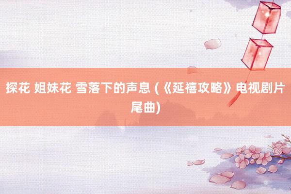 探花 姐妹花 雪落下的声息 (《延禧攻略》电视剧片尾曲)