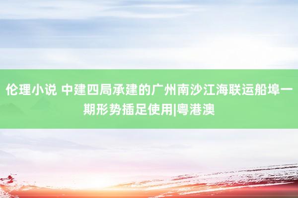 伦理小说 中建四局承建的广州南沙江海联运船埠一期形势插足使用|粤港澳