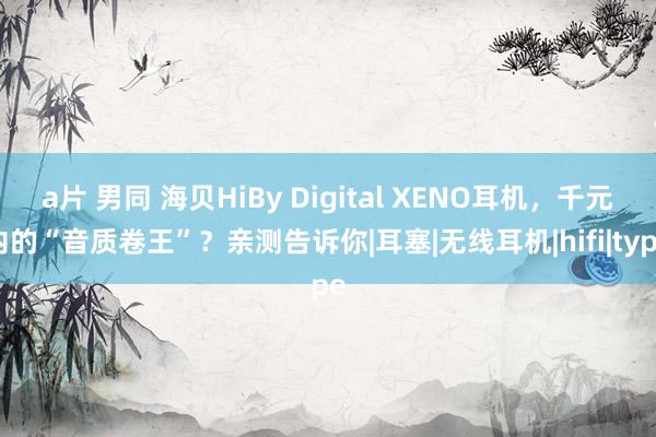 a片 男同 海贝HiBy Digital XENO耳机，千元内的“音质卷王”？亲测告诉你|耳塞|无线耳机|hifi|type