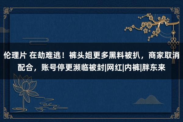 伦理片 在劫难逃！裤头姐更多黑料被扒，商家取消配合，账号停更濒临被封|网红|内裤|胖东来