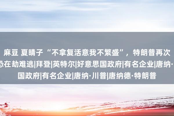 麻豆 夏晴子 “不拿复活意我不繁盛”，特朗普再次炮轰台湾，台积电恐在劫难逃|拜登|英特尔|好意思国政府|有名企业|唐纳·川普|唐纳德·特朗普