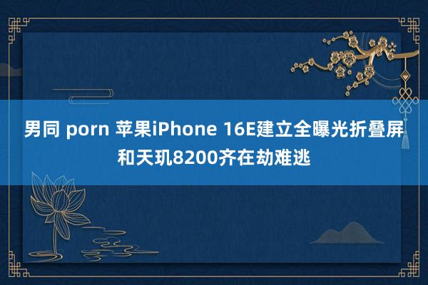 男同 porn 苹果iPhone 16E建立全曝光折叠屏和天玑8200齐在劫难逃