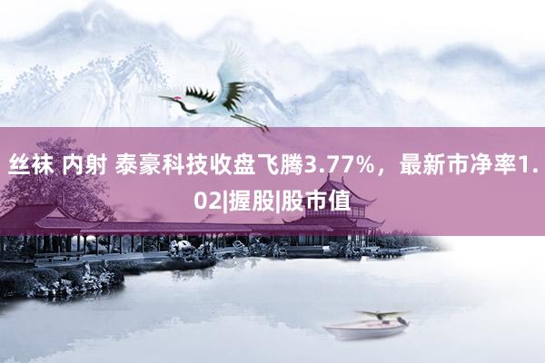 丝袜 内射 泰豪科技收盘飞腾3.77%，最新市净率1.02|握股|股市值