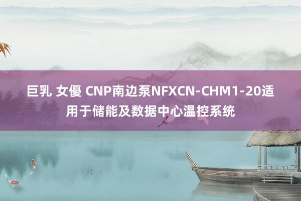 巨乳 女優 CNP南边泵NFXCN-CHM1-20适用于储能及数据中心温控系统