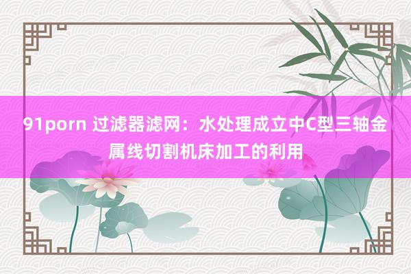 91porn 过滤器滤网：水处理成立中C型三轴金属线切割机床加工的利用