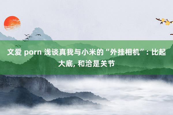 文爱 porn 浅谈真我与小米的“外挂相机”: 比起大底， 和洽是关节