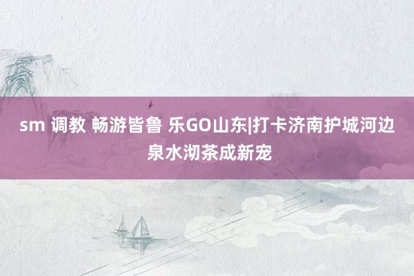sm 调教 畅游皆鲁 乐GO山东|打卡济南护城河边 泉水沏茶成新宠