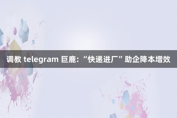 调教 telegram 巨鹿: “快递进厂”助企降本增效
