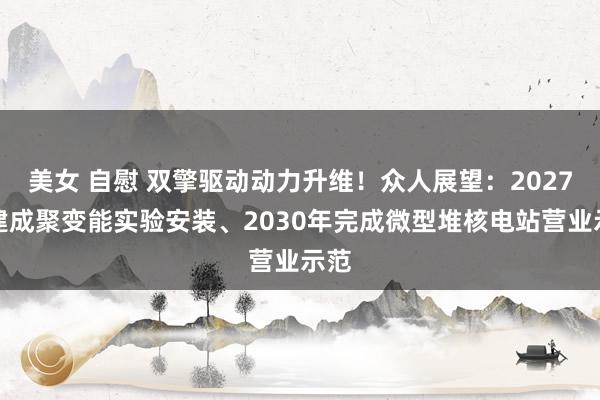 美女 自慰 双擎驱动动力升维！众人展望：2027年建成聚变能实验安装、2030年完成微型堆核电站营业示范