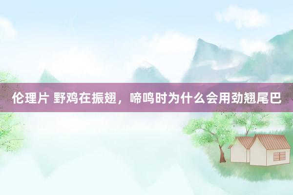 伦理片 野鸡在振翅,啼鸣时为什么会用劲翘尾巴